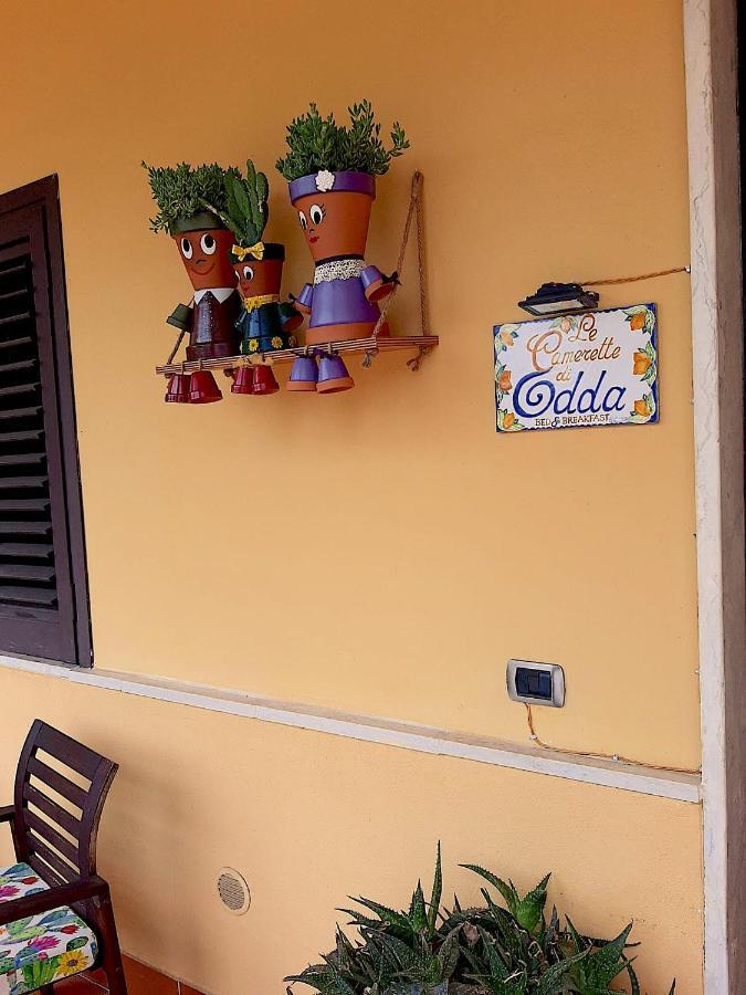 B&B Le Camerette Di Edda Касино Екстериор снимка